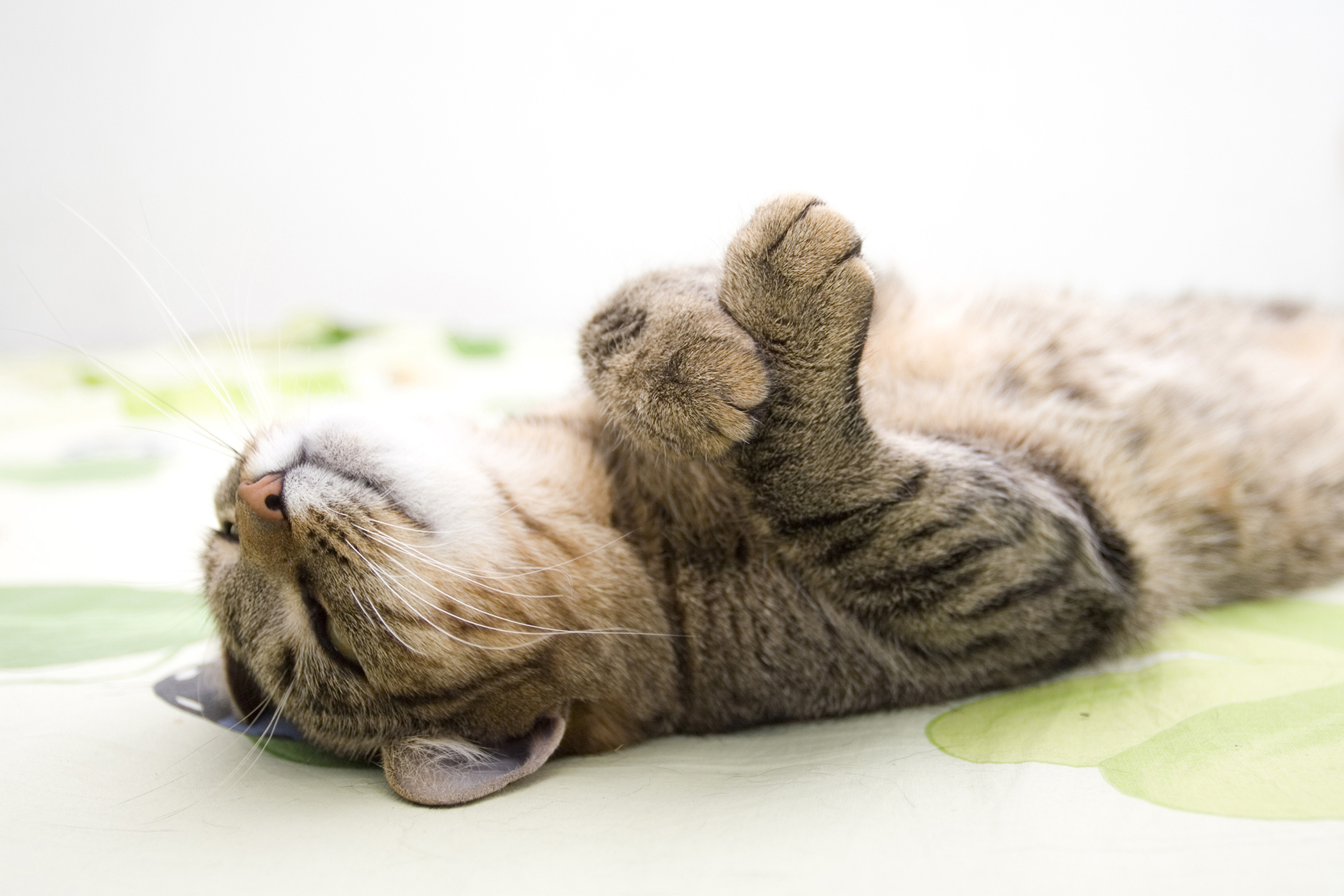 Amputation Conditions Treated, Procedure, Efficacy, Recovery, Cost