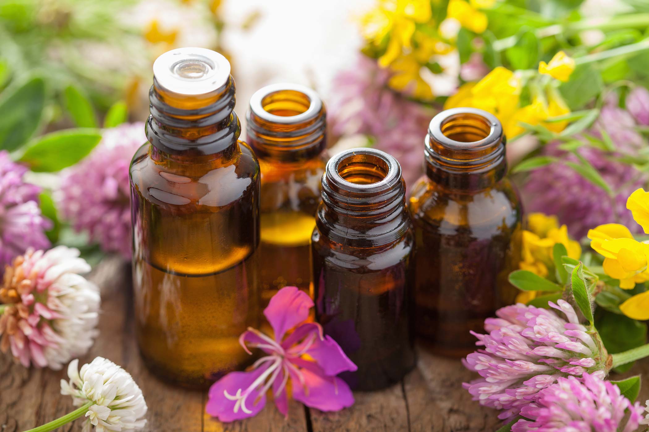 essential oils for skin allergies essential oils for allergies in dogs symptoms causes diagnosis treatment essential oils for skin allergies essential oils for allergies in dogs symptoms causes diagnosis treatment
