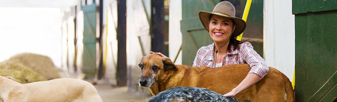 I Want To Become A Dog Breeder I Want To Become A Dog Breeder