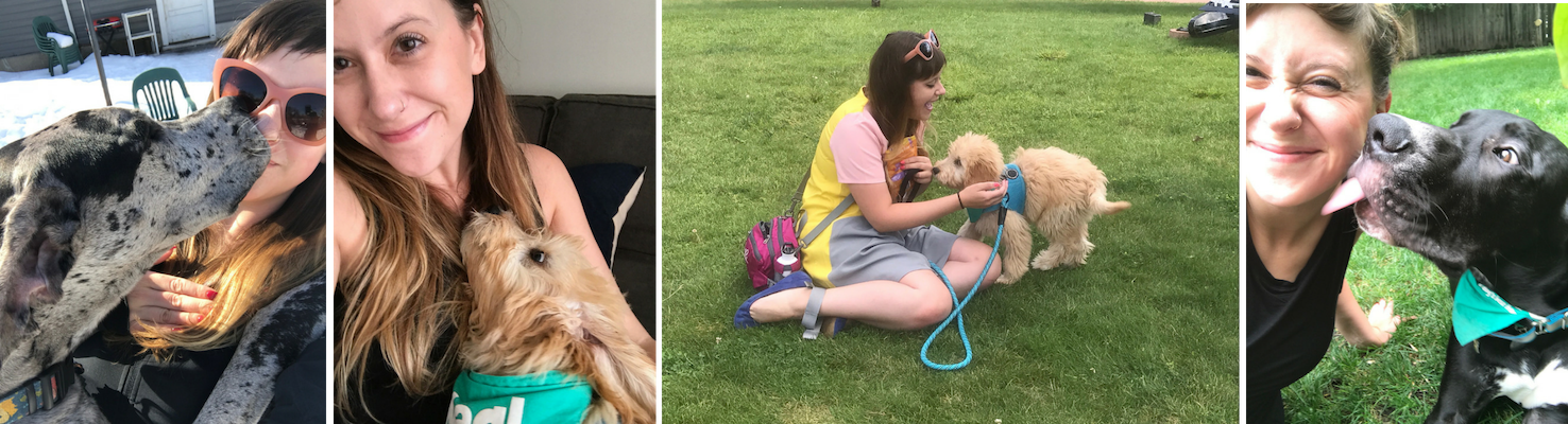 Angela: A Minneapolis Dog Walker's Story