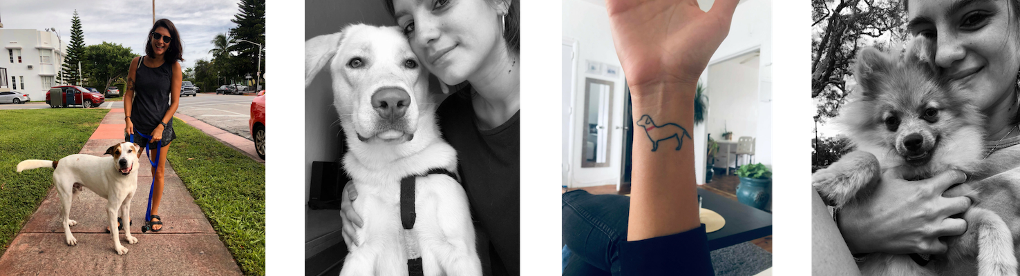 Julieta: A Miami Dog Walker's Story