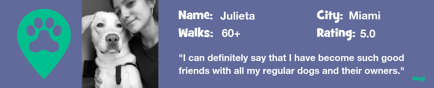 Julieta: A Miami Dog Walker's Story