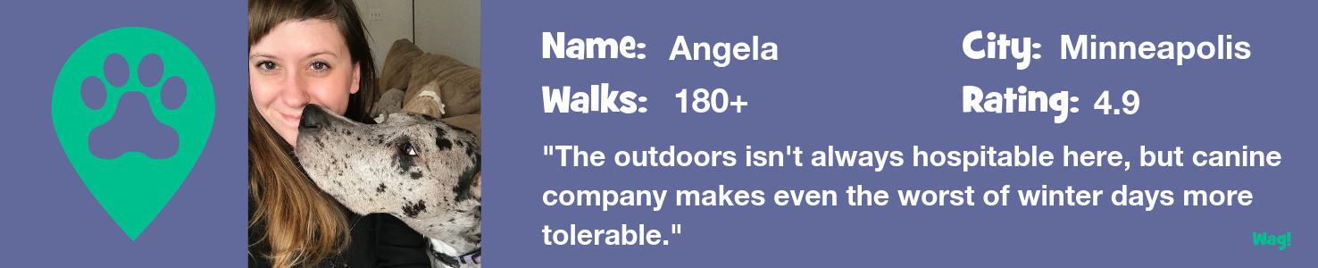 Angela: A Minneapolis Dog Walker's Story