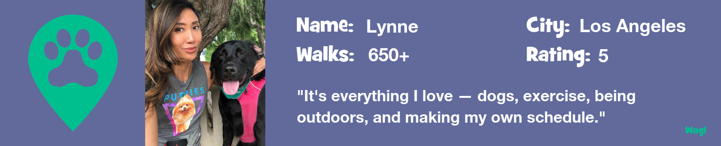 Lynne: A Los Angeles Dog Walker's Story