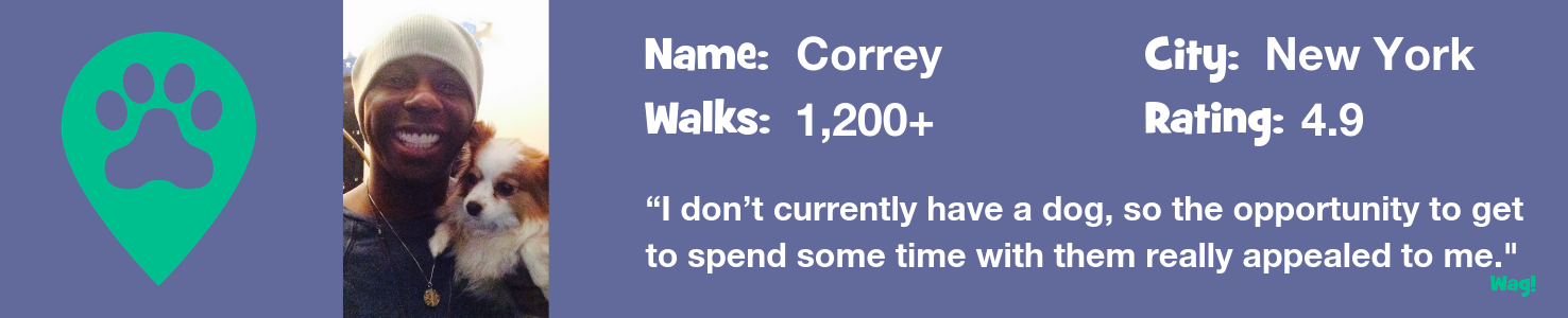 Correy — A New York Dog Walker's Story