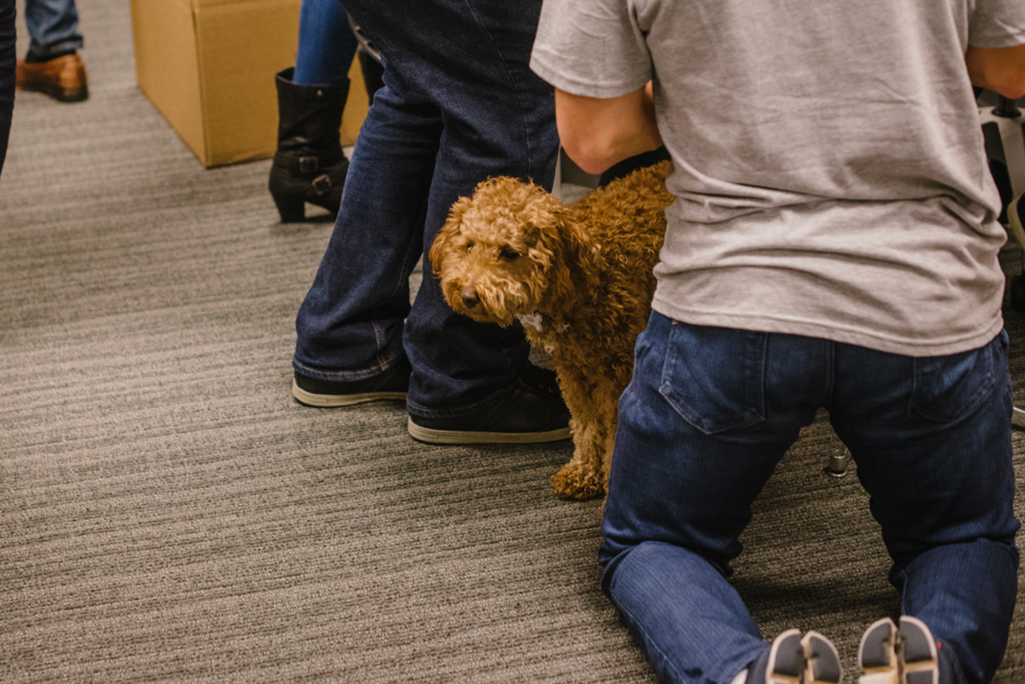 How Wag! Gives Back on #givingtuesday