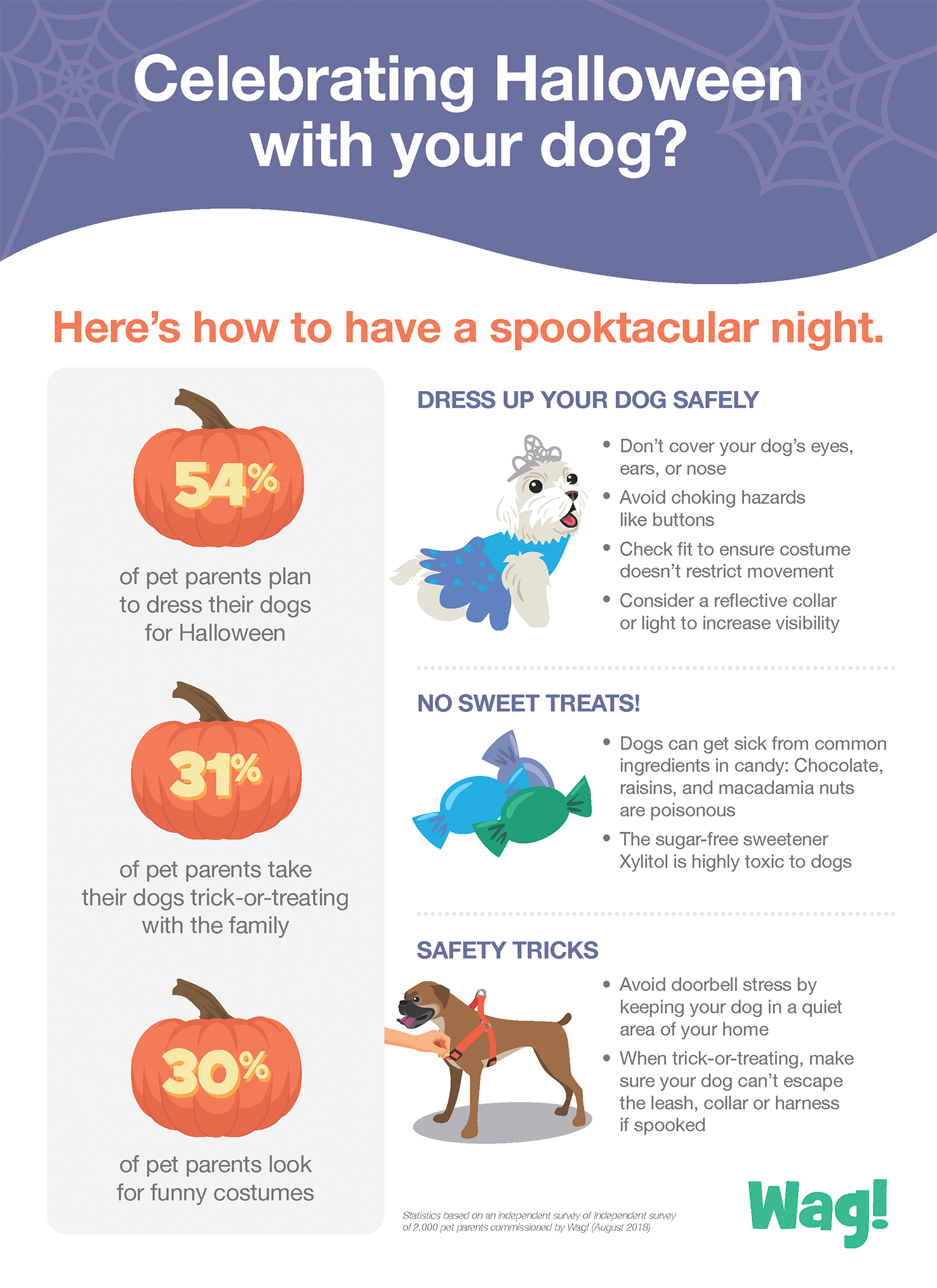 Help Keep Halloween Fun — and Safe — for Your Dog