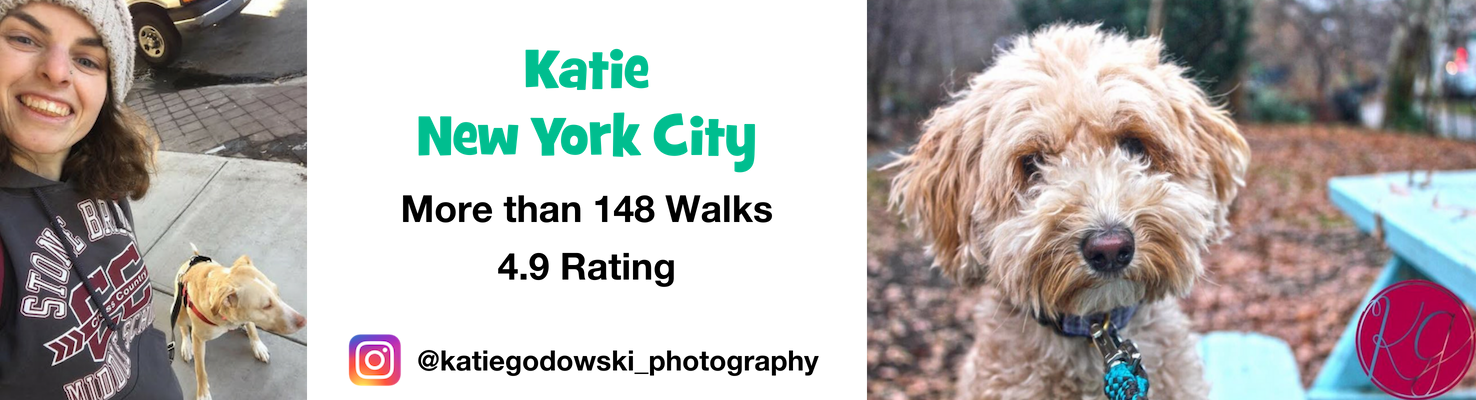 In a Walker's Words — Katie