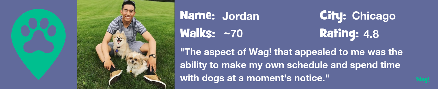 Jordan - A Chicago Dog Walker's Story