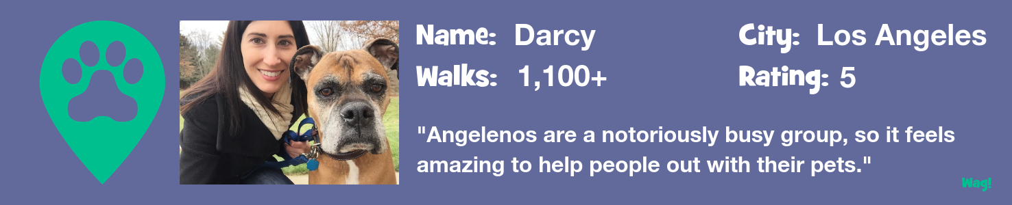 Darcy — A Los Angeles Dog Walker’s Story