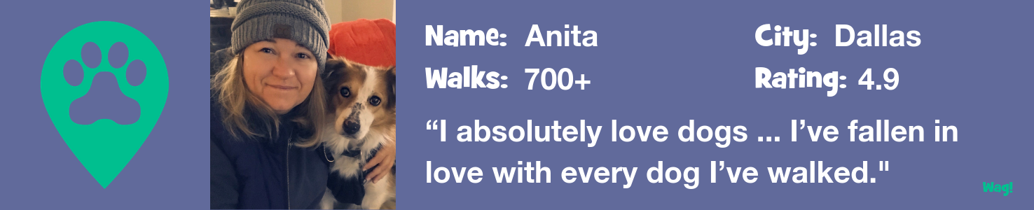 Anita: A Dallas Dog Walker’s Story