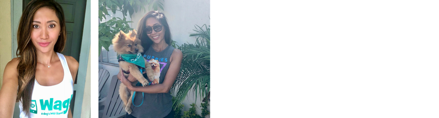 Lynne: A Los Angeles Dog Walker's Story