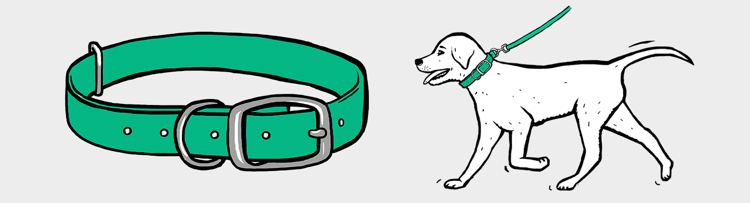 How to use hotsell a bark collar properly