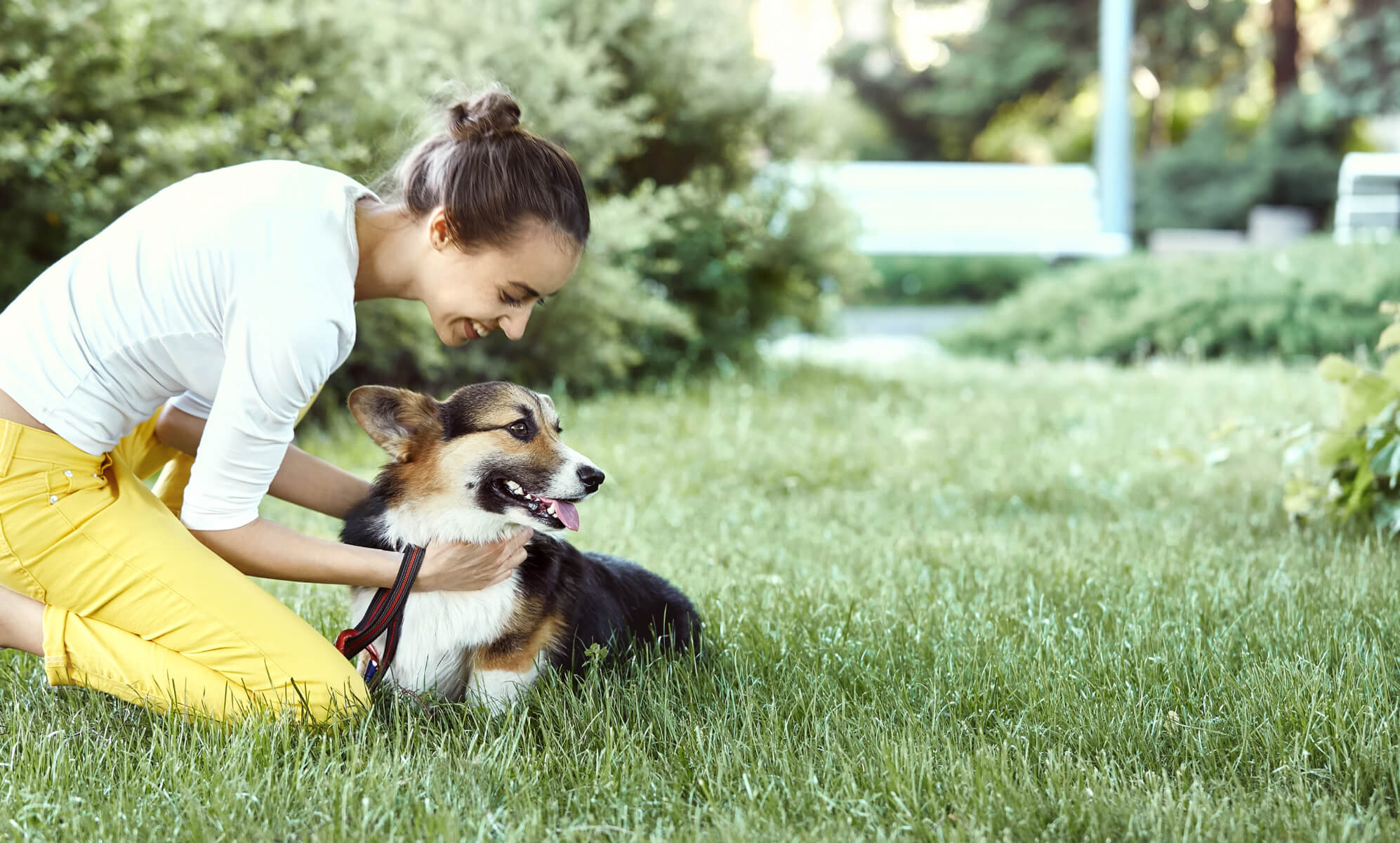 Middlesex-Northwest Expressway