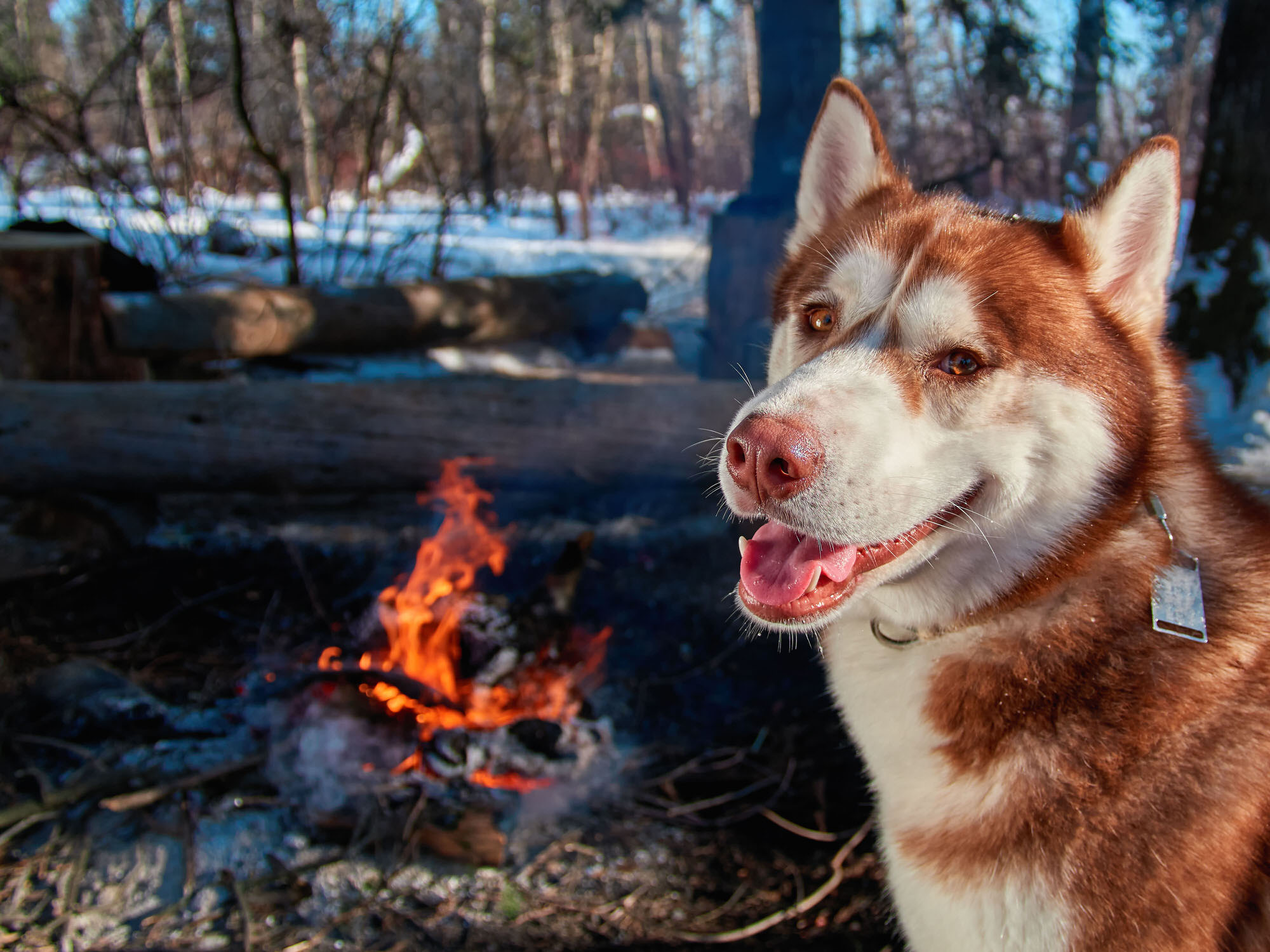 Brazos Valley RV Park - Photo 2