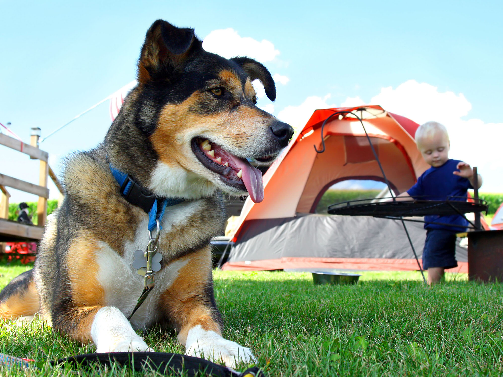 Indian Springs Resort & RV - Photo 2