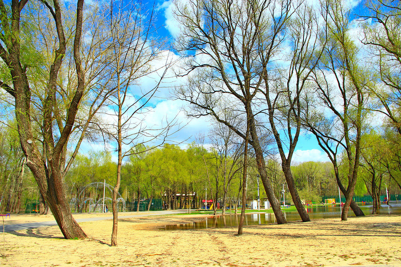 Oleta River State Park In North Miami Beach Fl Dog Parks Near