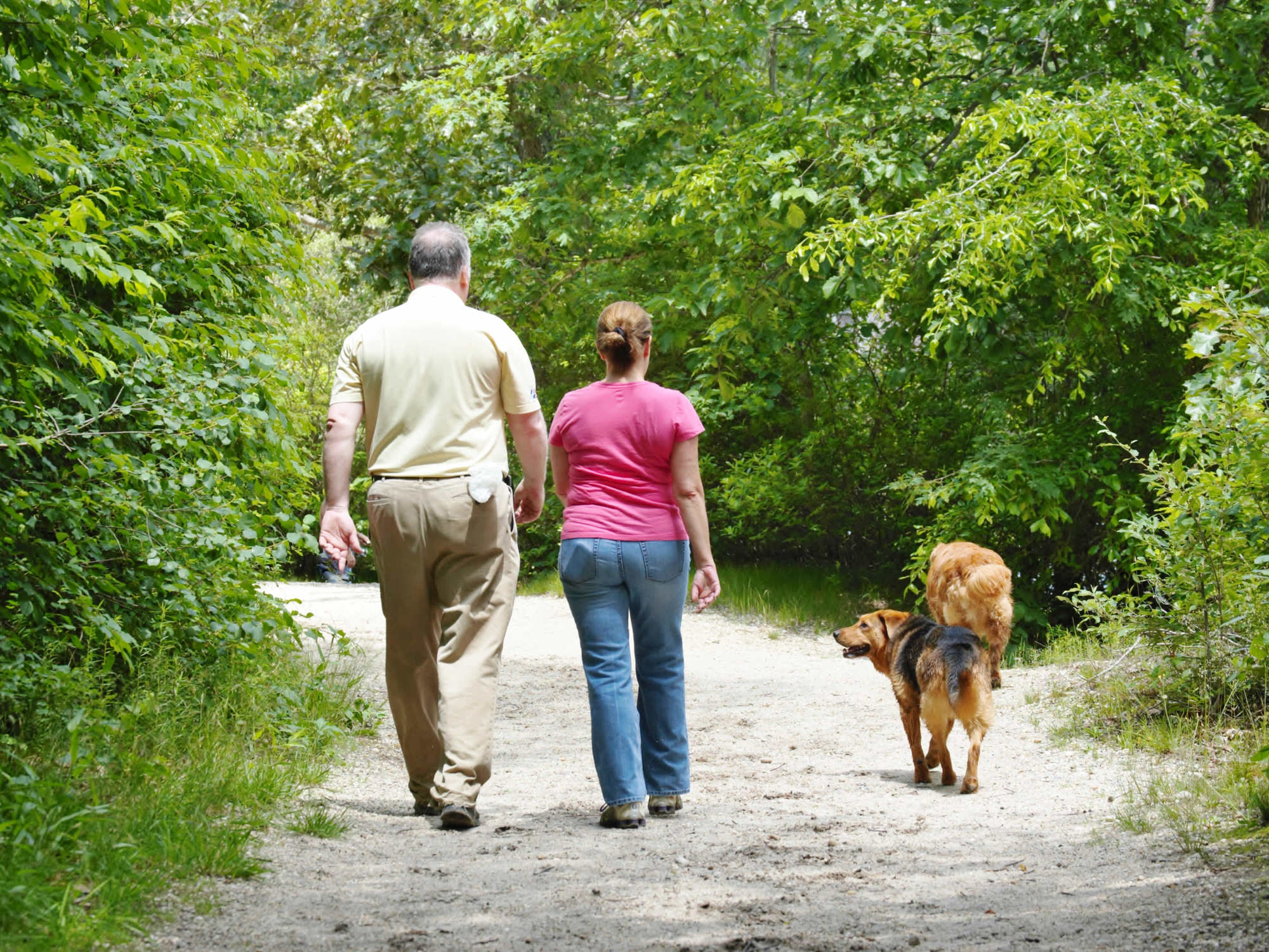 Green Bay Trail Wag